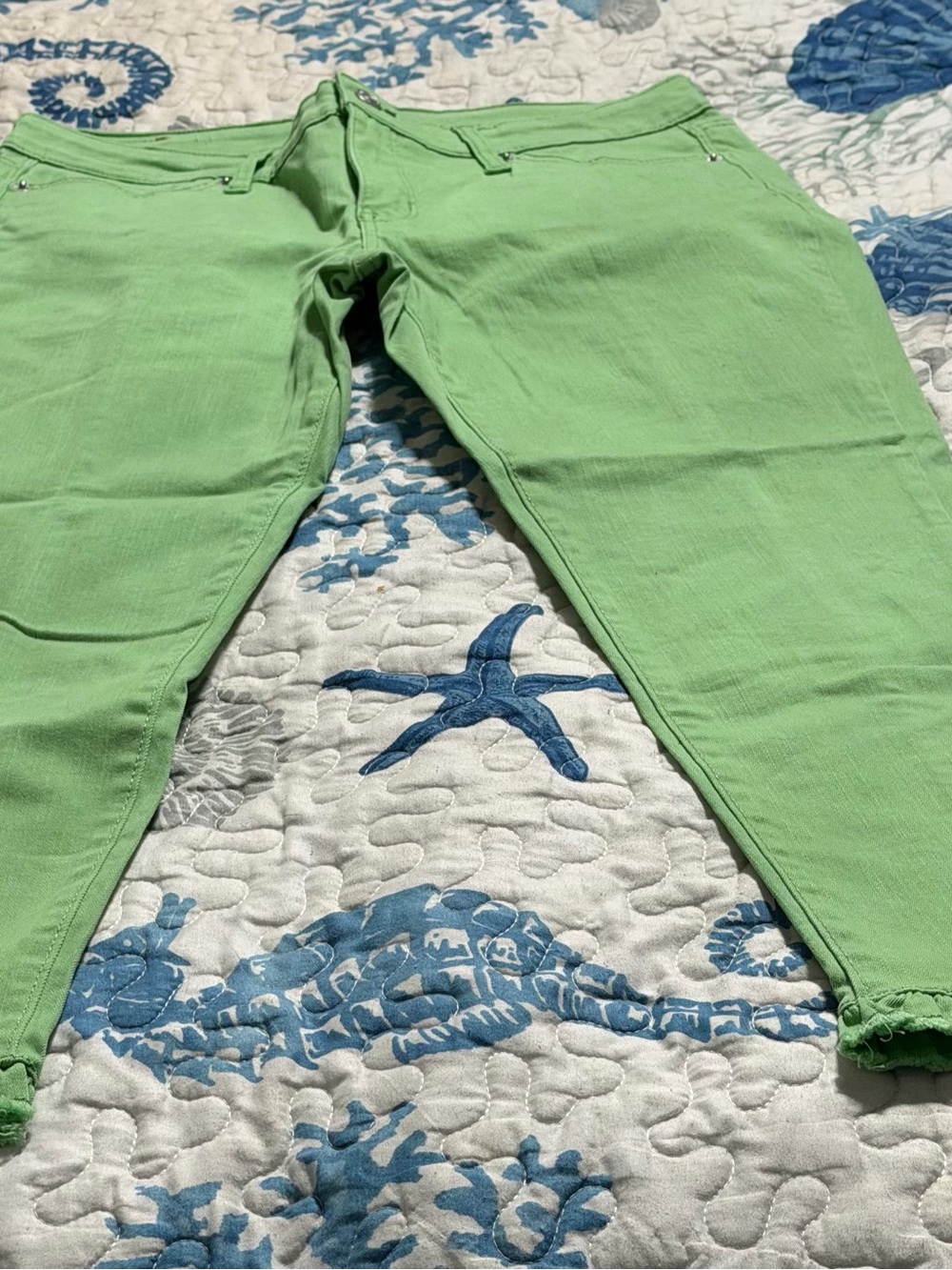 crown & ivy Light Green Capris with ruffle hem